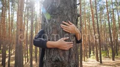 美丽微笑的年轻女子在森林里拥抱和拥抱大杉树的视频。 热爱和热爱人民的概念